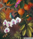 Click to View Hummingbird Orange